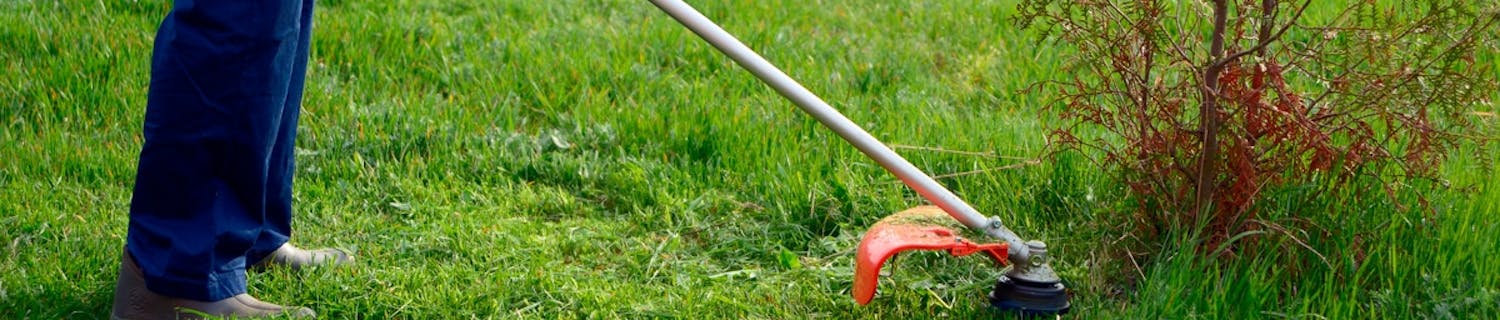 Grästrimmer - vilken ska du välja till din trädgård? Grästrimmer - vilken ska du välja till din trädgård?